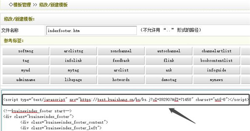 將代碼添加到footer模板中