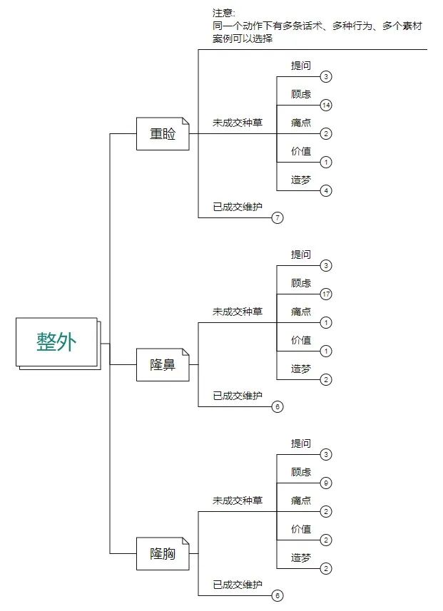 醫美整形項目服務流程框架圖